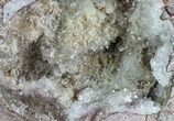 Bargain, 4.1" Crystal Filled Dugway Geode (Polished Half) - #67477-2